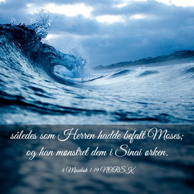 Picture 03 - 4 Mosebok 1:19 NORSK - således som Herren hadde befalt Moses; og han - Bible Verse Picture