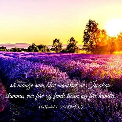 Picture 03 - 4 Mosebok 1:29 NORSK - så mange som blev mønstret av Issakars stamme, - Bible Verse Picture