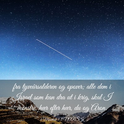 Picture 03 - 4 Mosebok 1:3 NORSK - fra tyveårsalderen og opover; alle dem i Israel - Bible Verse Picture