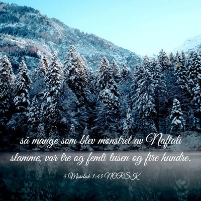 Picture 03 - 4 Mosebok 1:43 NORSK - så mange som blev mønstret av Naftali stamme, - Bible Verse Picture