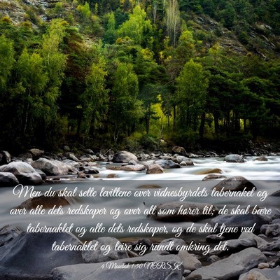 Picture 03 - 4 Mosebok 1:50 NORSK - Men du skal sette levittene over vidnesbyrdets - Bible Verse Picture