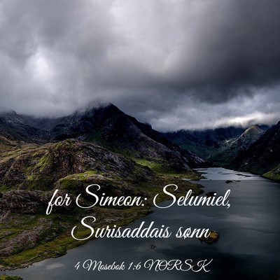 Picture 03 - 4 Mosebok 1:6 NORSK - for Simeon: Selumiel, Surisaddais - Bible Verse Picture