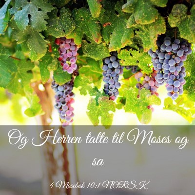 Picture 03 - 4 Mosebok 10:1 NORSK - Og Herren talte til Moses og - Bible Verse Picture