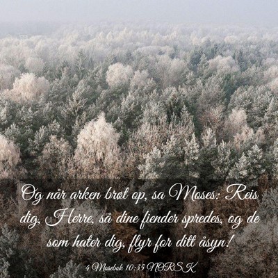 Picture 03 - 4 Mosebok 10:35 NORSK - Og når arken brøt op, sa Moses: Reis dig, - Bible Verse Picture