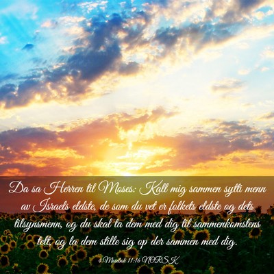 Picture 03 - 4 Mosebok 11:16 NORSK - Da sa Herren til Moses: Kall mig sammen sytti - Bible Verse Picture