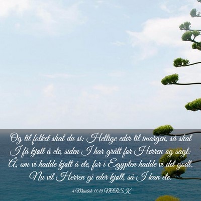 Picture 03 - 4 Mosebok 11:18 NORSK - Og til folket skal du si: Hellige eder til - Bible Verse Picture