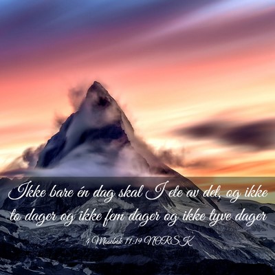 Picture 03 - 4 Mosebok 11:19 NORSK - Ikke bare én dag skal I ete av det, og ikke to - Bible Verse Picture