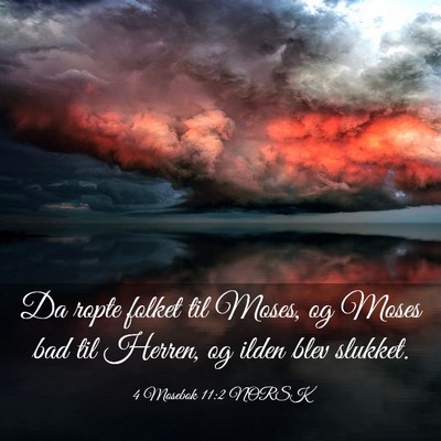 Picture 03 - 4 Mosebok 11:2 NORSK - Da ropte folket til Moses, og Moses bad til - Bible Verse Picture