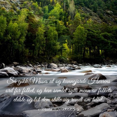 Picture 03 - 4 Mosebok 11:24 NORSK - Så gikk Moses ut og kunngjorde Herrens ord for - Bible Verse Picture