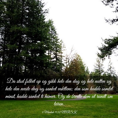 Picture 03 - 4 Mosebok 11:32 NORSK - Da stod folket op og gikk hele den dag og hele - Bible Verse Picture