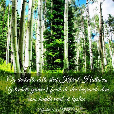 Picture 03 - 4 Mosebok 11:34 NORSK - Og de kalte dette sted Kibrot Hatta'va, - Bible Verse Picture
