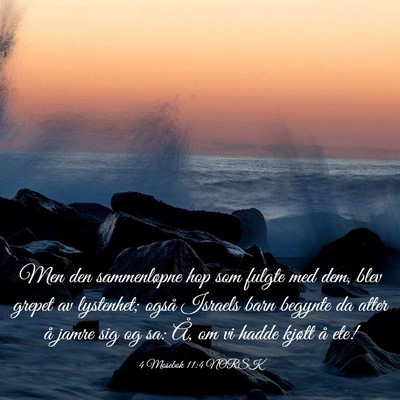 Picture 03 - 4 Mosebok 11:4 NORSK - Men den sammenløpne hop som fulgte med dem, blev - Bible Verse Picture