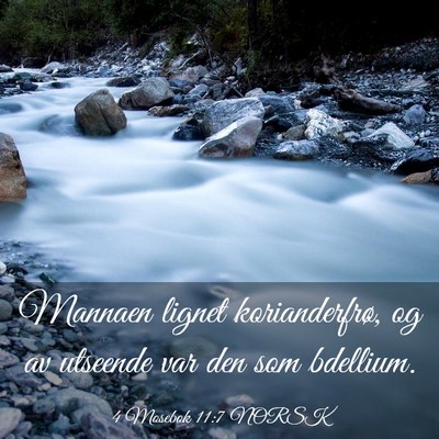Picture 03 - 4 Mosebok 11:7 NORSK - Mannaen lignet korianderfrø, og av utseende var - Bible Verse Picture