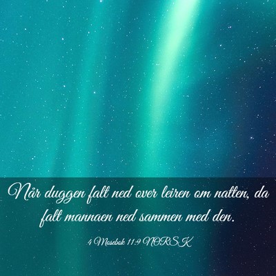 Picture 03 - 4 Mosebok 11:9 NORSK - Når duggen falt ned over leiren om natten, da - Bible Verse Picture