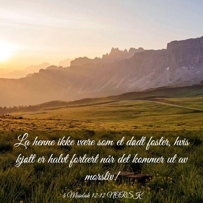 Picture 03 - 4 Mosebok 12:12 NORSK - La henne ikke være som et dødt foster, hvis - Bible Verse Picture
