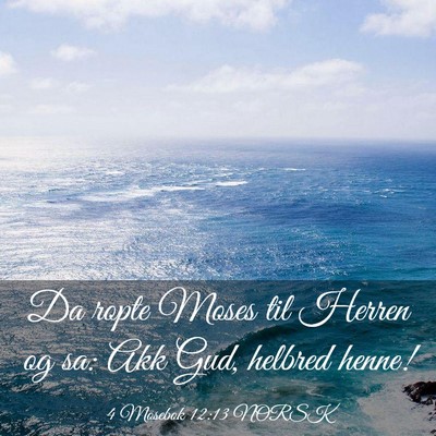 Picture 03 - 4 Mosebok 12:13 NORSK - Da ropte Moses til Herren og sa: Akk Gud, helbred - Bible Verse Picture