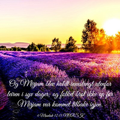 Picture 03 - 4 Mosebok 12:15 NORSK - Og Mirjam blev holdt innestengt utenfor leiren i - Bible Verse Picture