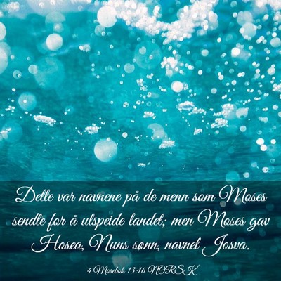 Picture 03 - 4 Mosebok 13:16 NORSK - Dette var navnene på de menn som Moses sendte - Bible Verse Picture