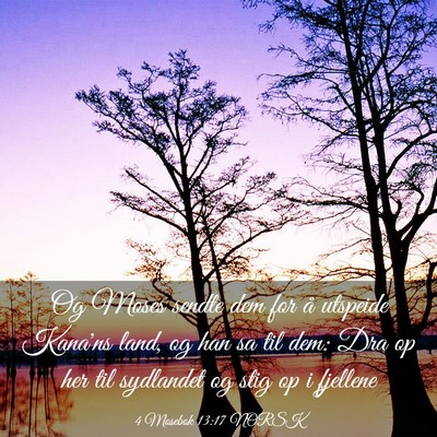 Picture 03 - 4 Mosebok 13:17 NORSK - Og Moses sendte dem for å utspeide Kana'ns land, - Bible Verse Picture