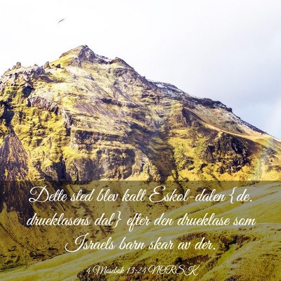 Picture 03 - 4 Mosebok 13:24 NORSK - Dette sted blev kalt Eskol-dalen {de. drueklasens - Bible Verse Picture
