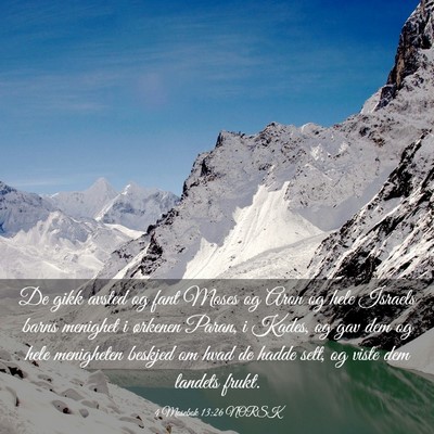 Picture 03 - 4 Mosebok 13:26 NORSK - De gikk avsted og fant Moses og Aron og hele - Bible Verse Picture
