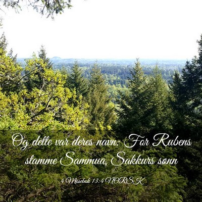 Picture 03 - 4 Mosebok 13:4 NORSK - Og dette var deres navn: For Rubens stamme - Bible Verse Picture