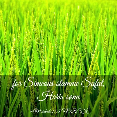 Picture 03 - 4 Mosebok 13:5 NORSK - for Simeons stamme Safat, Horis - Bible Verse Picture