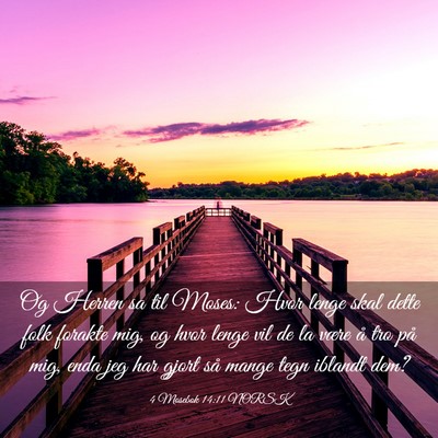 Picture 03 - 4 Mosebok 14:11 NORSK - Og Herren sa til Moses: Hvor lenge skal dette - Bible Verse Picture