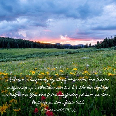Picture 03 - 4 Mosebok 14:18 NORSK - Herren er langmodig og rik på miskunnhet, han - Bible Verse Picture