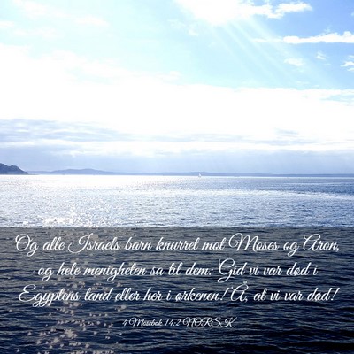 Picture 03 - 4 Mosebok 14:2 NORSK - Og alle Israels barn knurret mot Moses og Aron, - Bible Verse Picture