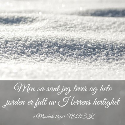 Picture 03 - 4 Mosebok 14:21 NORSK - Men sa sant jeg lever og hele jorden er full av - Bible Verse Picture