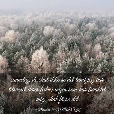 Picture 03 - 4 Mosebok 14:23 NORSK - sannelig, de skal ikke se det land jeg bar - Bible Verse Picture