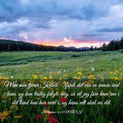 Picture 03 - 4 Mosebok 14:24 NORSK - Men min tjener Kaleb(-)fordi det var en annen - Bible Verse Picture