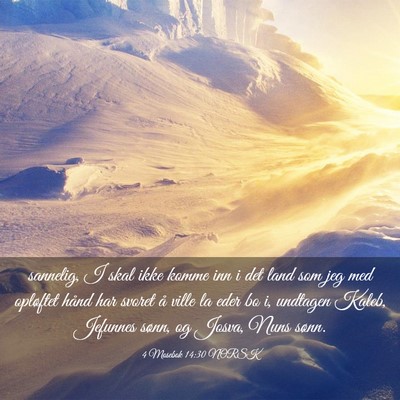 Picture 03 - 4 Mosebok 14:30 NORSK - sannelig, I skal ikke komme inn i det land som - Bible Verse Picture
