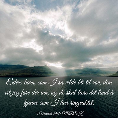 Picture 03 - 4 Mosebok 14:31 NORSK - Eders barn, som I sa vilde bli til rov, dem vil - Bible Verse Picture
