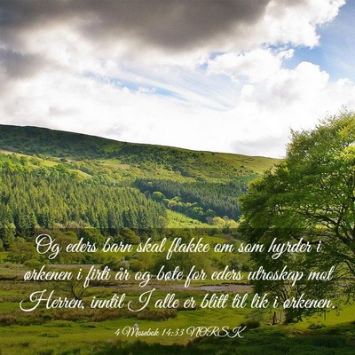 Picture 03 - 4 Mosebok 14:33 NORSK - Og eders barn skal flakke om som hyrder i - Bible Verse Picture