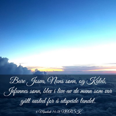 Picture 03 - 4 Mosebok 14:38 NORSK - Bare Josva, Nuns sønn, og Kaleb, Jefunnes sønn, - Bible Verse Picture