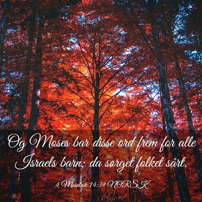 Picture 03 - 4 Mosebok 14:39 NORSK - Og Moses bar disse ord frem for alle Israels - Bible Verse Picture