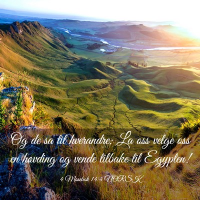 Picture 03 - 4 Mosebok 14:4 NORSK - Og de sa til hverandre: La oss velge oss en - Bible Verse Picture