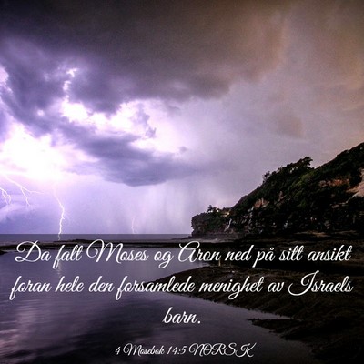 Picture 03 - 4 Mosebok 14:5 NORSK - Da falt Moses og Aron ned på sitt ansikt foran - Bible Verse Picture