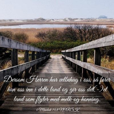 Picture 03 - 4 Mosebok 14:8 NORSK - Dersom Herren har velbehag i oss, så fører han - Bible Verse Picture