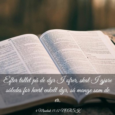 Picture 03 - 4 Mosebok 15:12 NORSK - Efter tallet på de dyr I ofrer, skal I gjøre - Bible Verse Picture