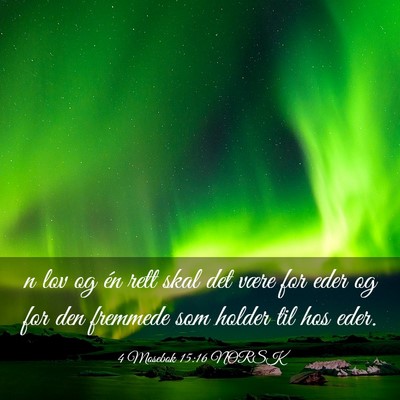 Picture 03 - 4 Mosebok 15:16 NORSK - n lov og én rett skal det være for eder og for - Bible Verse Picture