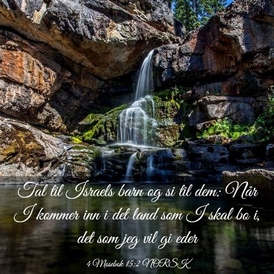 Picture 03 - 4 Mosebok 15:2 NORSK - Tal til Israels barn og si til dem: Når I kommer - Bible Verse Picture