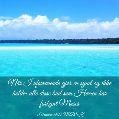 Picture 03 - 4 Mosebok 15:22 NORSK - Når I uforvarende gjør en synd og ikke holder - Bible Verse Picture