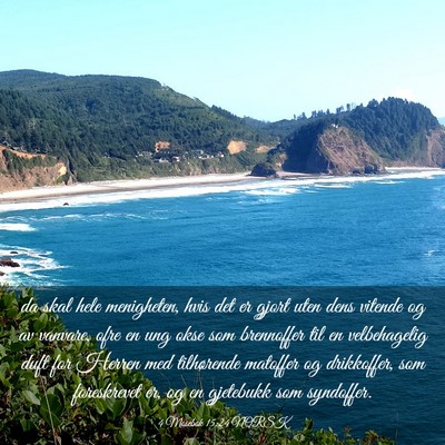 Picture 03 - 4 Mosebok 15:24 NORSK - da skal hele menigheten, hvis det er gjort uten - Bible Verse Picture
