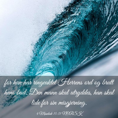 Picture 03 - 4 Mosebok 15:31 NORSK - for han har ringeaktet Herrens ord og brutt hans - Bible Verse Picture