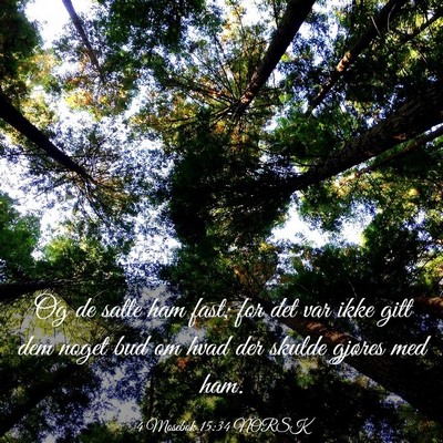 Picture 03 - 4 Mosebok 15:34 NORSK - Og de satte ham fast; for det var ikke gitt dem - Bible Verse Picture