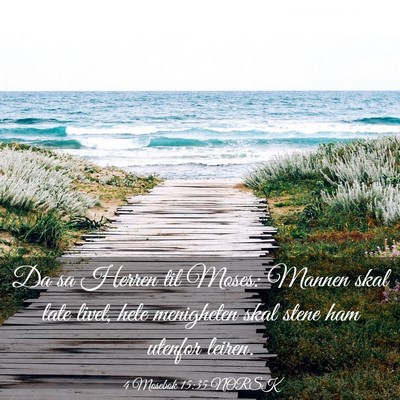 Picture 03 - 4 Mosebok 15:35 NORSK - Da sa Herren til Moses: Mannen skal late livet, - Bible Verse Picture