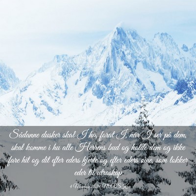 Picture 03 - 4 Mosebok 15:39 NORSK - Sådanne dusker skal I ha, forat I, når I ser - Bible Verse Picture